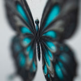 Cocoon