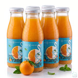 Orange Flamingo - Smoothie 6er Pack