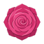 Absolue der türkischen Rose