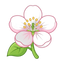 Apfelblüte