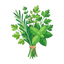 Aromatische Kräuter