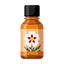 Ätherisches Cistus-Labdanum-Öl