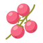 Baies Rose