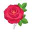 Balsamöl Rose
