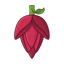 Bananenblüte