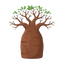 Baobabholz