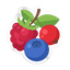 Beeren