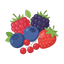 Beerenfrüchte