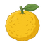 Bitter Yuzu