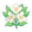 Blumiger Jasminakkord