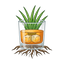 Bourbon-Vetiver