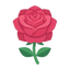 Bulgarische Rose