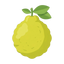 Calabrian Bergamot