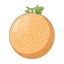 Cantaloupe-Melone
