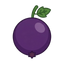 Cassis (schwarze Johannisbeere)