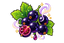 Cassis C02