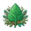 Cedar - oakmoss - patchouli