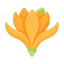 Champaca
