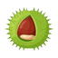 Chestnut
