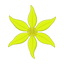 Chinesisches Ylang-Ylang