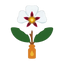 Cistus-Absolue aus Spanien ORPUR