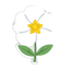 Cistus Absolue ORPUR