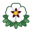 Cistus Absolute