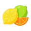 Citrusfrüchte