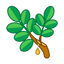 Copahu