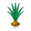 Cyrpiol