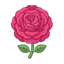 Damaskus-Rose