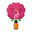 Damaszener Rose Absolue