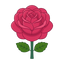 Damaszener Rose