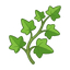 Efeu