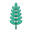 Eukalyptus