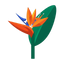 Exotische Blüten