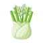 Fenchel
