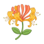 Geißblatt