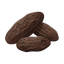 Geröstete Tonka Bohnen