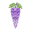 Glyzinien