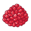 Granatapfelkerne