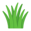 Gras
