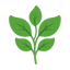 Grüne Noten