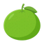Grüne Mandarine