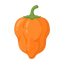 Habanero-Chili