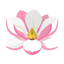 HEDIONE und MAGNOLIA