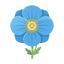 Himalaya-Mohn