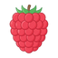 Himbeeren