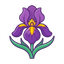 Iris-Absolue