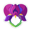 Iris Herz